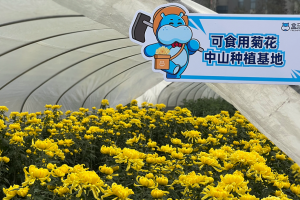 ϼһ챬3000Уδ촺˶
