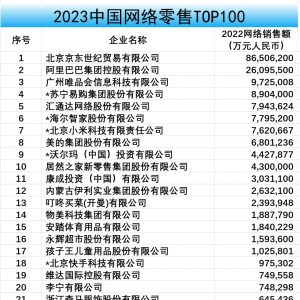 ԡֶꡢϰ2023TOP100񵥣