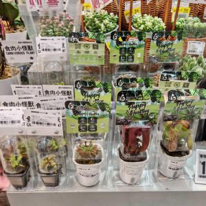Ͻʻܸ߷ڣõʻ۸µ40%