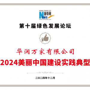 ҡƻĿѡ2024йʵͰ